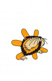 Сириус-Трей Сириус-Трей