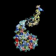 Diana D.A.K. Diana D.A.K.